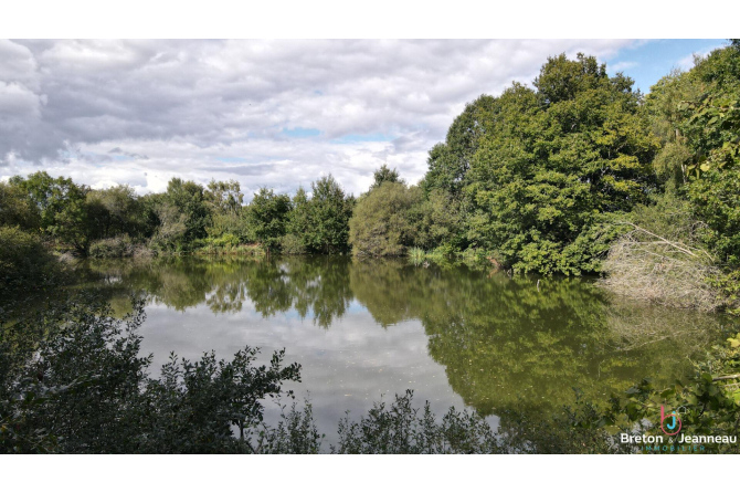 Propriété isolée avec étangs sur environ 4ha proche de Bais