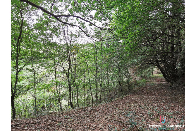 Propriété isolée avec étangs sur environ 4ha proche de Bais