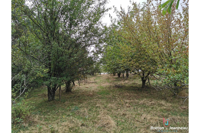 Propriété isolée avec étangs sur environ 4ha proche de Bais