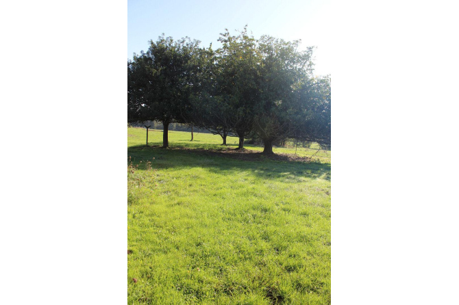 Fermette sur 1ha 93 à Saint Pierre des Landes