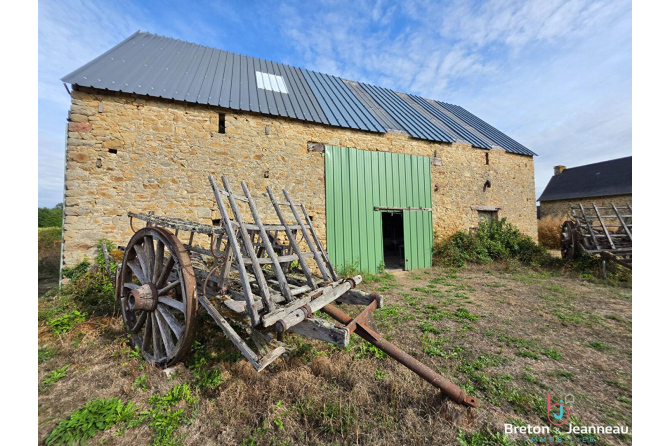 Maison sur 1,3 ha secteur Andouillé