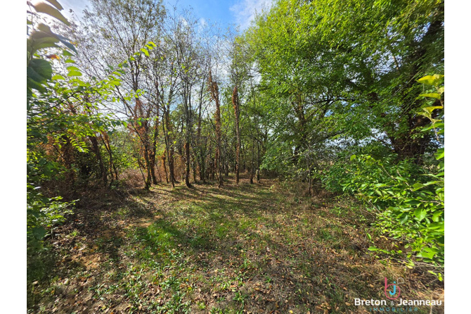 Maison sur 1,3 ha secteur Andouillé