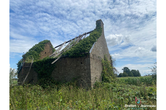 Bâtisse en pierres à rénover