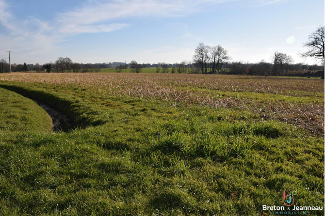Agricultural land rented 9ha 49 in Princé and Juvigné