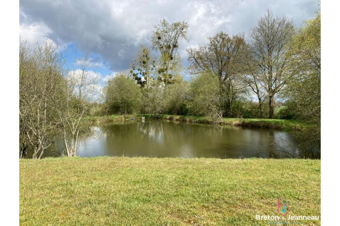 Leisure ground with pond - Laval-Mayenne axis