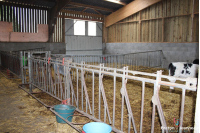 Exploitation laitière Bio sur 51 ha en Mayenne