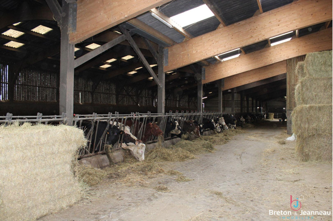 Organic dairy farm on 51 ha in Mayenne