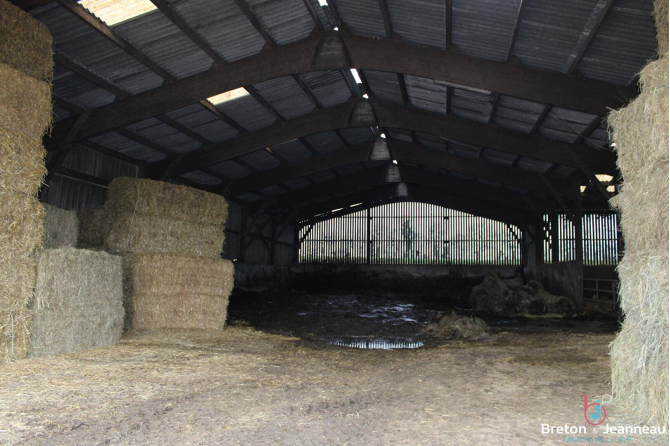 Exploitation laitière Bio sur 51 ha en Mayenne