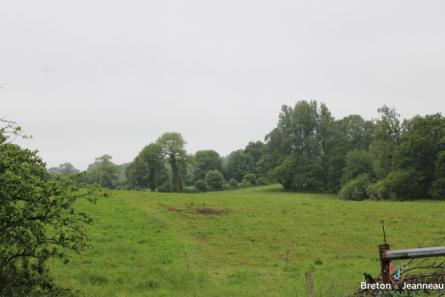 Terres agricoles libres 29 ha à Saint Berthevin la Tanniere