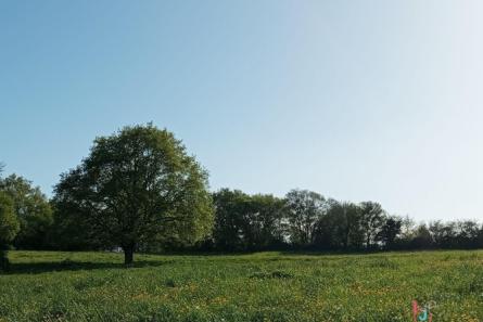 Terrain constructible de 1 ha 91 secteur Brulon