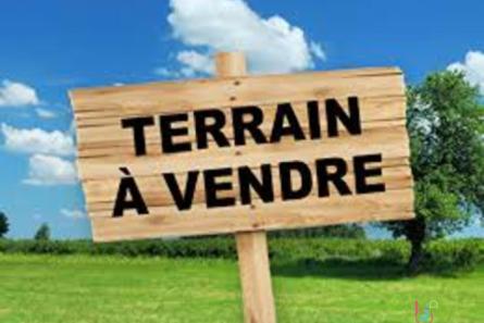 Terrain constructible de 1 ha 91 secteur Brulon