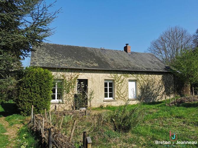 Maison sur 1 hectare secteur Bais
