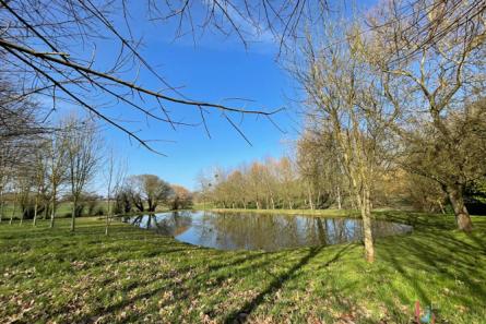 Terrain de loisir avec un étang à St Germain de Coulamer 53