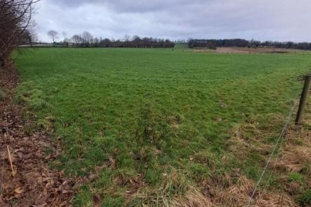 Terrain agricole de 3ha 84 loué à St Mars sur la Futaie