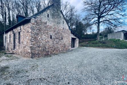 Maison sur 2 ha 90 secteur Montsûrs