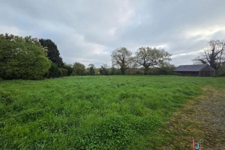 Terrain de 2546 m² à Saint Georges Le Fléchard