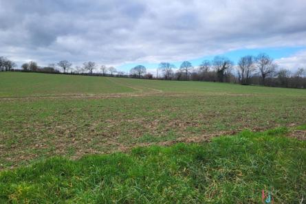Terres agricoles de 8 ha à St Christophe du Luat