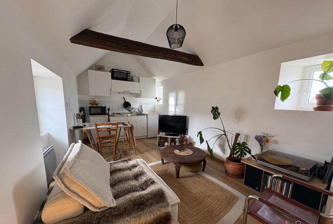 Appartement T2 - Laval - Centre ville Rive gauche