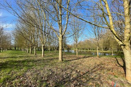 Terrain de loisirs avec un étang à St Germain de Coulamer