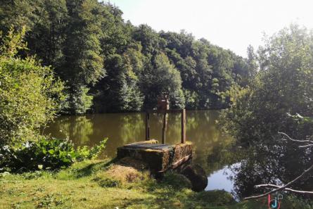 Terrain de loisirs avec étangs à Vimartin sur Orthe