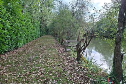 Plan d'eau et bois sur 1ha 65 à Martigné sur Mayenne