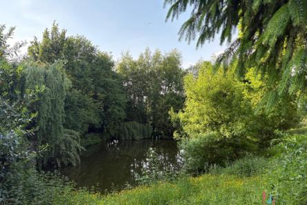 Maison secteur Gorron
