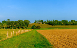 Acheter des terres agricoles pour votre future activité