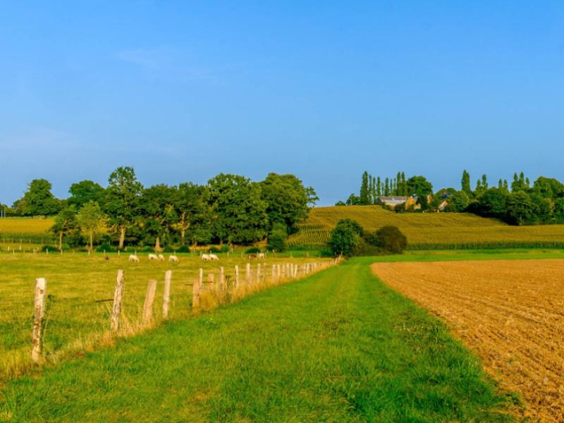 Acheter des terres agricoles pour votre future activité