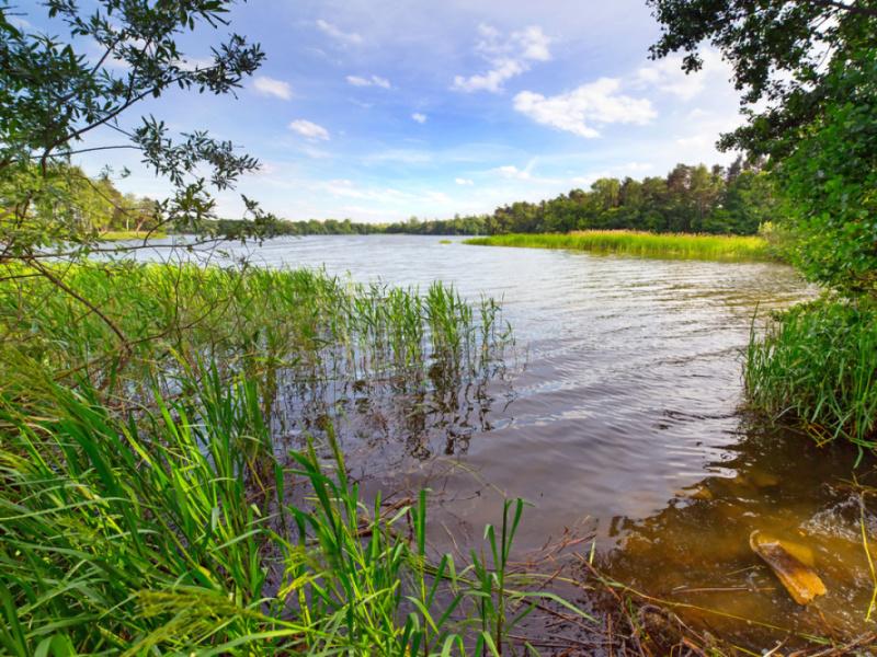 Acheter un terrain de loisirs en campagne