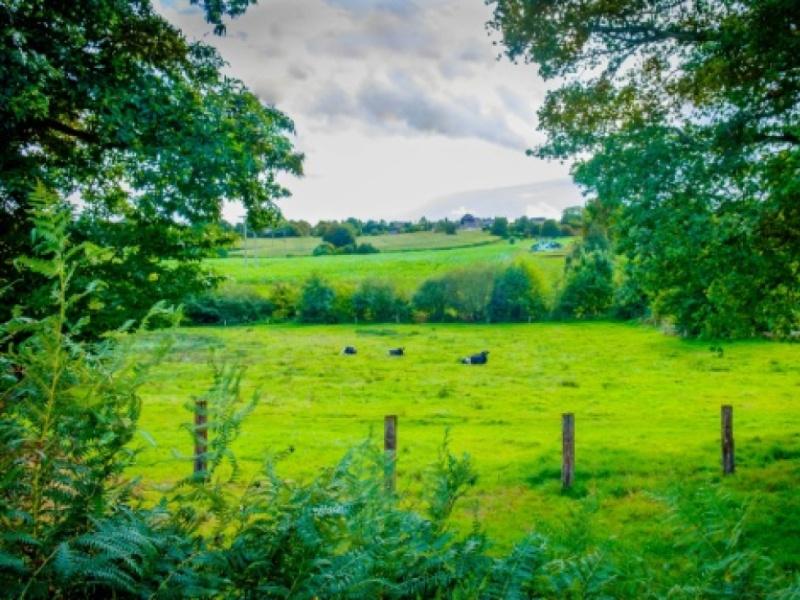 Pourquoi acheter un terrain de loisirs ?