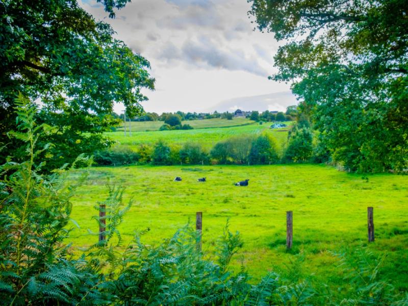 Acheter une maison de campagne