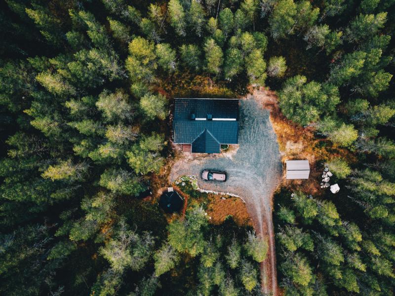 Maison à vendre avec une forêt : les conseils à prendre en compte avant d'acheter ce type de bien atypique